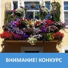 КОНКУРС