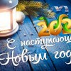 С наступающим Новым 2025 Годом!